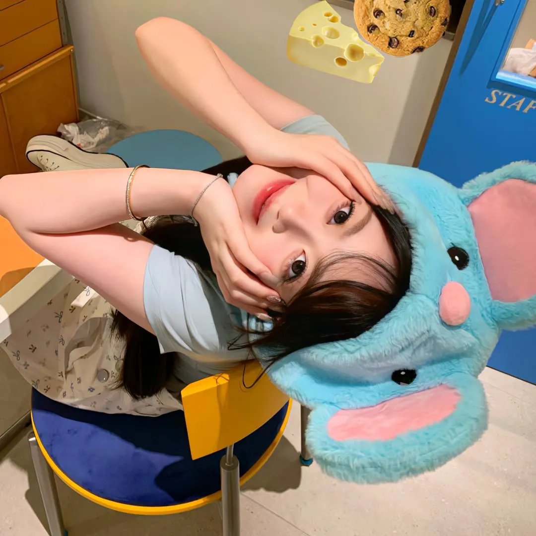 圣兽